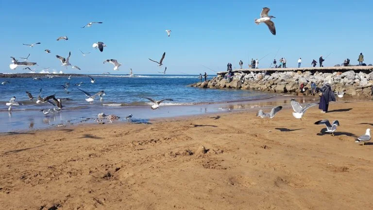 Plage de Skhirat - photo 2